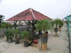 kost-menteng.com